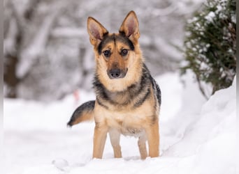 Kann Vishnja dich verzaubern ?!