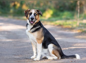 Tyson will nochmal seine ganze Liebe zeigen
