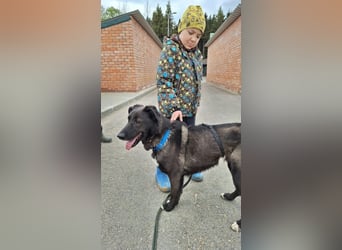 Wunderschöne Jasmine mochte geliebt werden