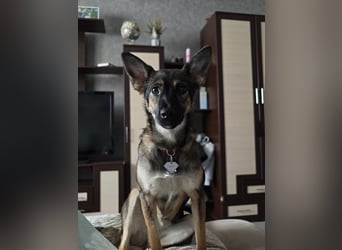 Charmante Betty sucht Familie