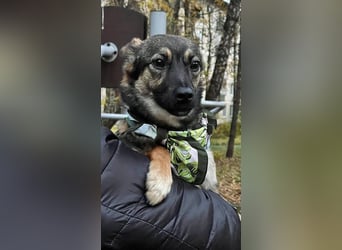 Charmante Betty sucht Familie