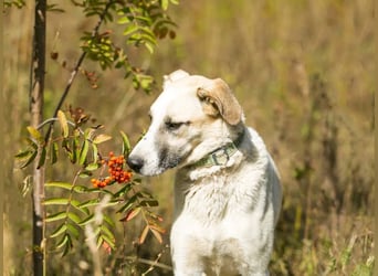 Kannst du Nemo lieben trotz handicap?!