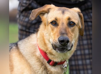 Tuchka — die sanfte Seele mit stolzem Auftreten sucht Ihr Zuhause!