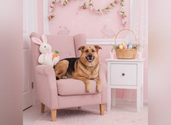 Zauberhafte Nadia sucht ihre menschen