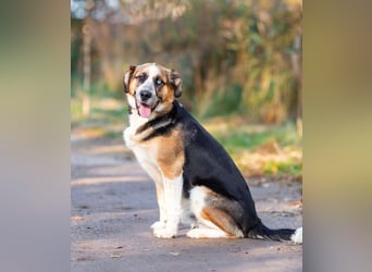 Tyson will nochmal seine ganze Liebe zeigen