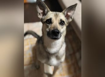 Mika sucht liebevolle Menschen