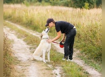Kannst du Nemo lieben trotz handicap?!