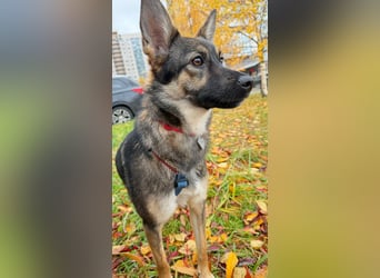 Charmante Betty sucht Familie