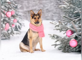 Kann Vishnja dich verzaubern ?!