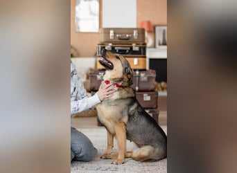 Wunderschöne Musya wartet auf dich