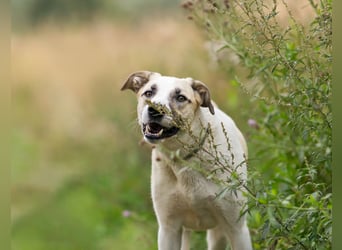 Kannst du Nemo lieben trotz handicap?!
