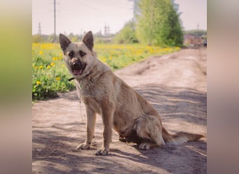 Wunderschöne Linda sucht