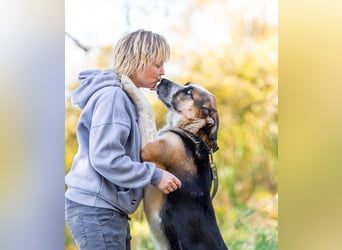 Tyson will nochmal seine ganze Liebe zeigen