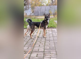 Charmante Betty sucht Familie