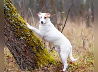 Aufgeschlossener Lord sucht aufgeschlossene Menschen