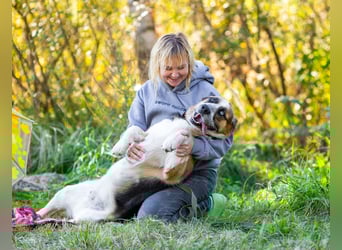 Tyson will nochmal seine ganze Liebe zeigen