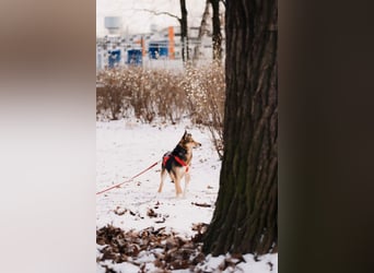 Elis ist schüchtern aber sie hat so viel Liebe zu geben....