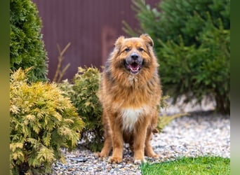 Bekommt Rakhat eine 2.Chance?!