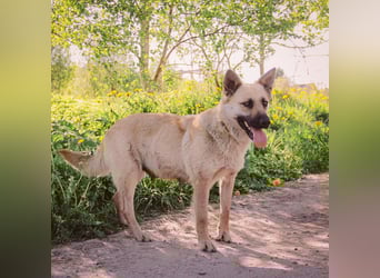 Wunderschöne Linda sucht