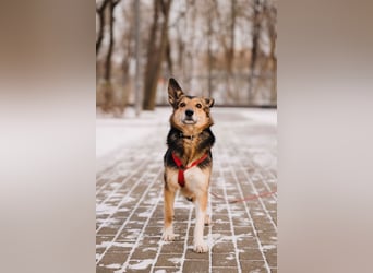 Elis ist schüchtern aber sie hat so viel Liebe zu geben....