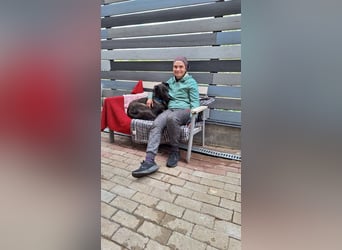 Wunderschöne Jasmine mochte geliebt werden