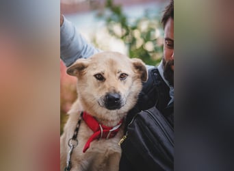 Skye treue seele sucht ....