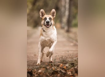 Marta hat noch so viel Lebensfreude