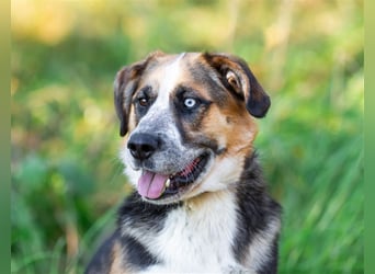 Tyson will nochmal seine ganze Liebe zeigen