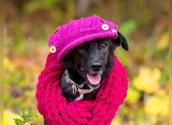 Wunderschöne Jasmine mochte geliebt werden