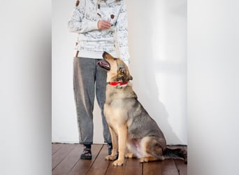 Wunderschöne Musya wartet auf dich