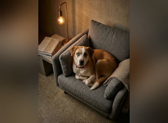 Jessie sucht ein aktives Leben