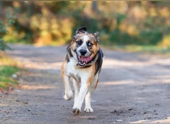 Tyson will nochmal seine ganze Liebe zeigen
