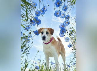 Jessie sucht ein aktives Leben