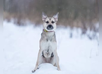 Mika sucht liebevolle Menschen
