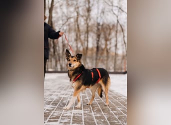 Elis ist schüchtern aber sie hat so viel Liebe zu geben....