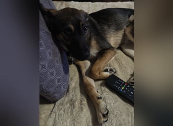 Charmante Betty sucht Familie