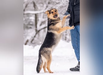 Kann Vishnja dich verzaubern ?!