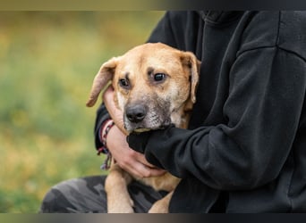 Blind und Taub sucht Pryanik seine Familie