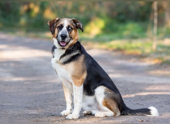 Tyson will nochmal seine ganze Liebe zeigen