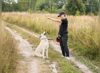 Kannst du Nemo lieben trotz handicap?!