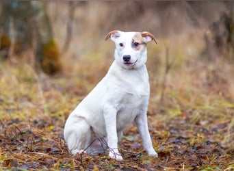 Aufgeschlossener Lord sucht aufgeschlossene Menschen