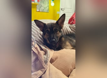 Charmante Betty sucht Familie