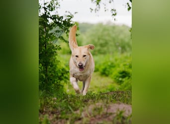 Ausgewogene Mona sucht Familie