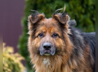 Bekommt Rakhat eine 2.Chance?!