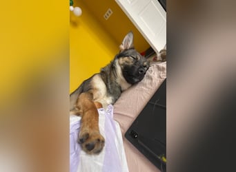 Charmante Betty sucht Familie