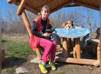 Arthos, kleines Energiebündel, ca. 3 Monate, ca. 18 cm, ca. 2 kg *bald in 80687 München*