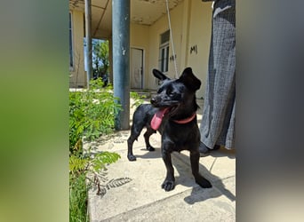 Kouklos wünscht sich ein Zuhause