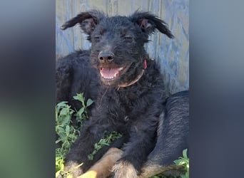Kleine Barka (*04/2026) sucht ihre Familie
