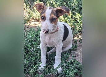 Kleine Carmen (*05/2026) sucht ihre Familie