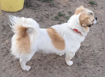 Kleine Coco sucht ihre Familie